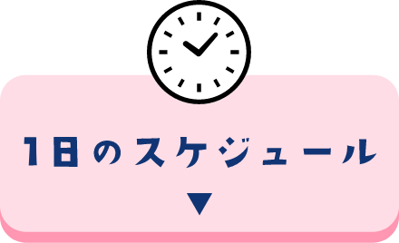 １日のスケジュール